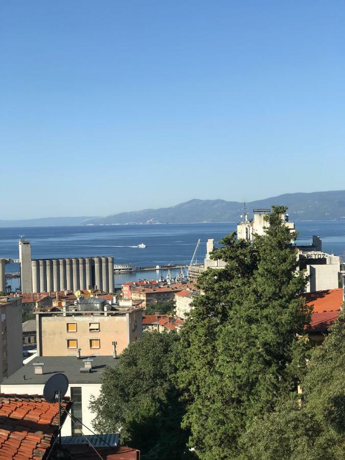 Apartman Vidi Apartamento Rijeka Exterior foto